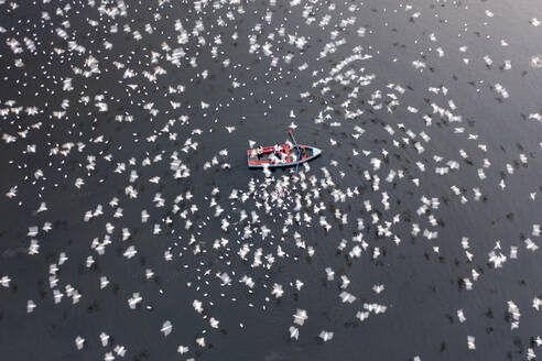 Aerial view of people feeding birds on a fishing boat along the Yamuna river in New Delhi, India. - AAEF18186