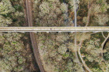 Aerial view of Luxulyan Valley Treffry Viaduct and surrounding countryside, Luxulyan, Bodmin, Cornwall, United Kingdom. - AAEF18199