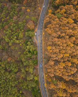Aerial view of a road leading to Mount Haruna during koyo season, Gunma, Japan. - AAEF18208