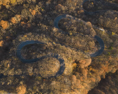 Aerial view from Kurokami-Daira viewpoint of a winding road during koyo season at sunrise, Nikko, Japan. - AAEF18213