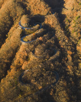 Aerial view from Kurokami-Daira viewpoint of a winding road during koyo season at sunrise, Nikko, Japan. - AAEF18214