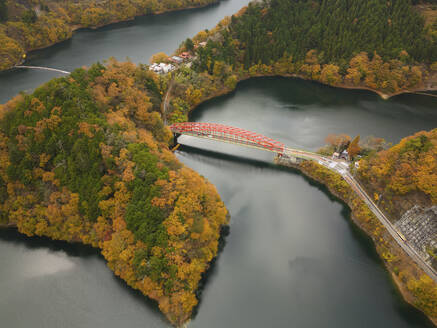 Aerial view of the red Minetani bridge on Lake Okutama during koyo season, Tokyo Japan. - AAEF18220