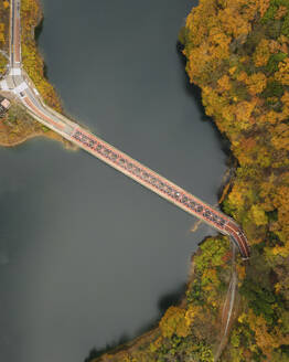 Aerial view of the red Minetani bridge on Lake Okutama during koyo season, Tokyo Japan. - AAEF18222