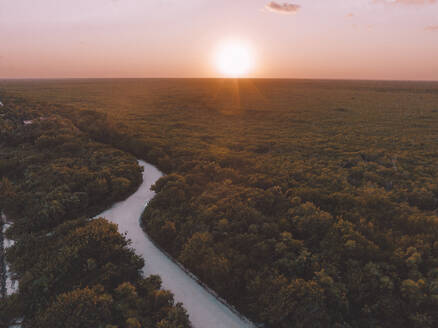 Aerial view of a jungle with a river at sunset in Quintana Roo state, Mexico. - AAEF18270