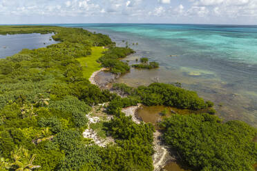 Aerial view of Cayo Centro small island, Biosfera Natural Reserve, Quintana Roo, Mexico. - AAEF18280