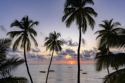 Silhouettes of palm trees with boats moored in the sea at dawn on background, Jambiani, Zanzibar, Tanzania, East Africa, Africa - RHPLF24204