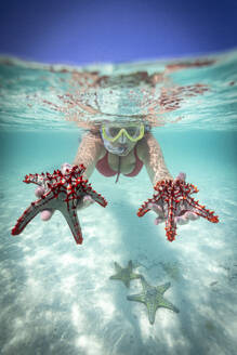Woman holding two red starfish snorkeling in the turquoise sea in summer, Zanzibar, Tanzania, East Africa, Africa - RHPLF24210