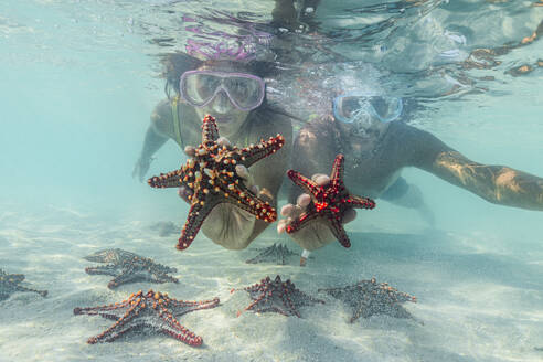 Man and woman with scuba masks showing starfish swimming underwater in the exotic lagoon, Zanzibar, Tanzania, East Africa, Africa - RHPLF24211