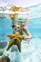 Woman showing a yellow starfish underwater in the tropical lagoon, Zanzibar, Tanzania, East Africa, Africa - RHPLF24212