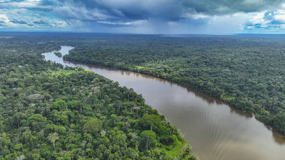 Aerial of the Suriname River at Pokigron, Suriname, South America - RHPLF24218