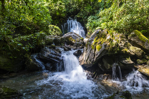 Couto waterfall, Atlantic Forest South-East Reserves, UNESCO World Heritage Site, Alto Ribeira Touristic State Park, Sao Paulo State, Brazil, South America - RHPLF24260