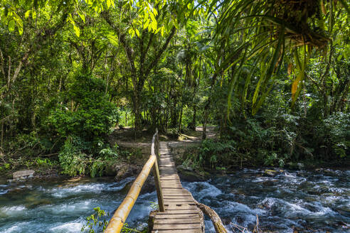 Footbridge over the Batari River, Atlantic Forest South-East Reserves, UNESCO World Heritage Site, Alto Ribeira Touristic State Park, Sao Paulo State, Brazil, South America - RHPLF24262