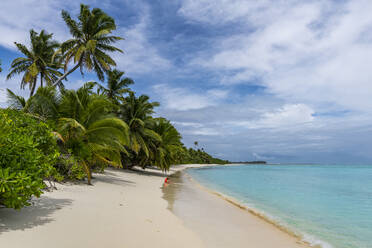 White sand beach, Direction Island, Cocos (Keeling) Islands, Australian Indian Ocean Territory, Australia, Indian Ocean - RHPLF24299