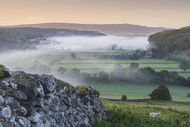 Kilnsey Crag and low lying mist at daybreak in Wharfedale, The Yorkshire Dales, Yorkshire, England, United Kingdom, Europe - RHPLF24325