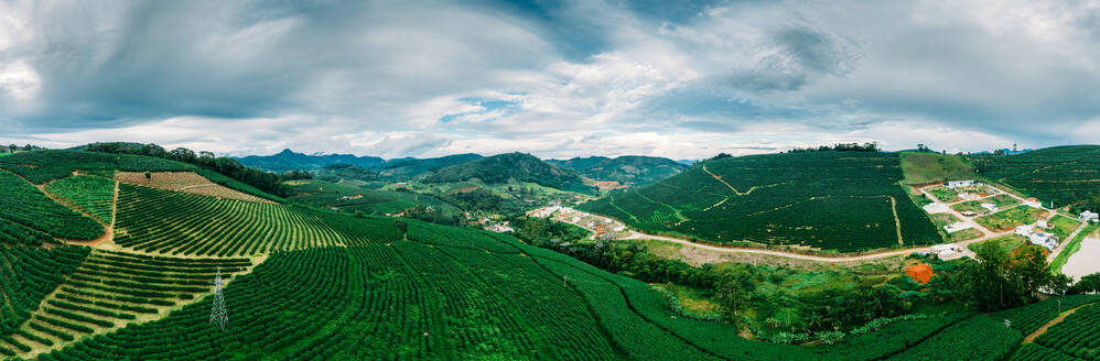 Panoramic aerial view of Arabica coffee field plantations in Minas Gerais, Brazil, South America - RHPLF24332
