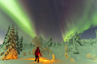 Hiker with lantern standing in the snow in the frozen wood admiring Northern Lights (Aurora Borealis), Pallas-Yllastunturi National Park, Muonio, Lapland, Finland, Europe - RHPLF24361