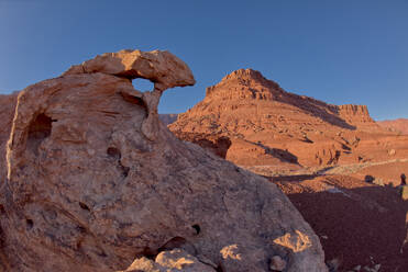 View of the south side of Johnson Point from below its cliffs at Marble Canyon, Glen Canyon Recreation Area, Arizona, United States of America, North America - RHPLF24366