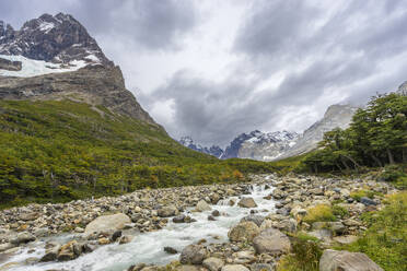 River flowing by Paine Grande mountain in French Valley, Torres del Paine National Park, Patagonia, Chile, South America - RHPLF24442