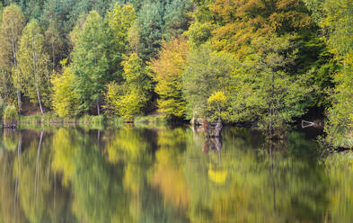 Idyllic shot of Kacirek pond during autumn, Kokorinsko, Central Bohemia, Czech Republic (Czechia), Europe - RHPLF24445