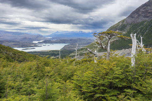 French Valley viewpoint, Torres del Paine National Park, Patagonia, Chile, South America - RHPLF24447