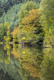 Idyllic shot of Kacirek pond during autumn, Kokorinsko, Central Bohemia, Czech Republic (Czechia), Europe - RHPLF24455