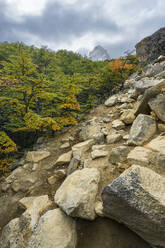 Hiking path leading to Britanico viewpoint, French Valley, Torres del Paine National Park, Patagonia, Chile, South America - RHPLF24458