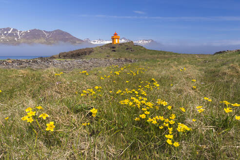 Djupivogur Lighthouse, East Iceland, Iceland, Polar Regions - RHPLF24479