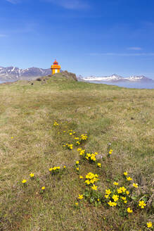 Djupivogur Lighthouse, East Iceland, Iceland, Polar Regions - RHPLF24481