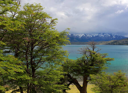 Torres del Paine National Park, Patagonia, Chile, South America - RHPLF24514