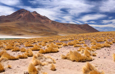 Atacama Desert Plateau, Chile, South America - RHPLF24526