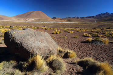 El Tatio Geyser Field, Atacama Desert Plateau, Chile, South America - RHPLF24532
