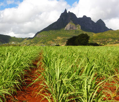 Mount Pieter Both and sugar cane fields, Mauritius, Indian Ocean, Africa - RHPLF24542