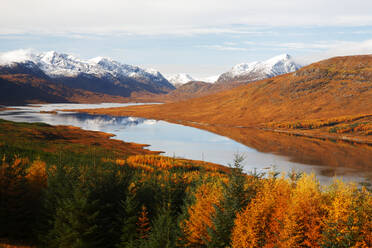 Loch Loyne, Western Highlands, Scotland, United Kingdom, Europe - RHPLF24552