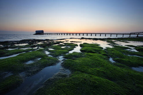 Bembridge Lifeboat Station and shoreline at dawn, Isle of Wight, England, United Kingdom, Europe - RHPLF24584