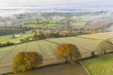 Rolling autumnal countryside from Cadbury Castle, Devon, England, United Kingdom, Europe - RHPLF24604