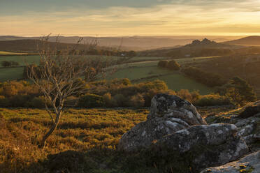 Rolling Dartmoor moorland and countryside at sunrise in autumn, Devon, England, United Kingdom, Europe - RHPLF24635