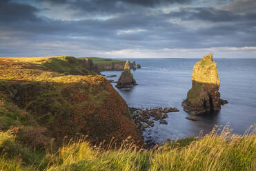 Gorgeous evening sunlight at Duncansby Head in autumn, in Caithness on the far north coast of Scotland, Highland, Scotland, United Kingdom, Europe - RHPLF24643