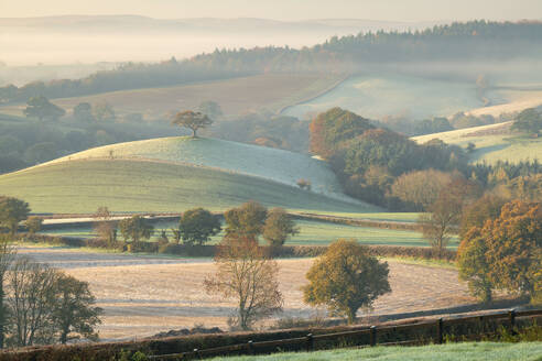 Beautiful rolling countryside on a frosty autumn morrning, Devon, England, United Kingdom, Europe - RHPLF24645