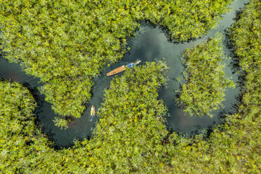 Aerial view of boat crossing through the deep jungle, Yanomami tribe, southern Venezuela, South America - RHPLF24735