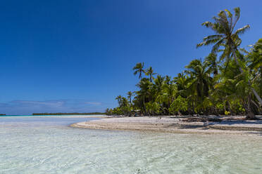 Palm fringed motu in the Blue Lagoon, Rangiroa atoll, Tuamotus, French Polynesia, South Pacific, Pacific - RHPLF24739