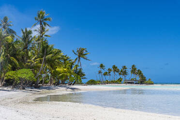 Palm fringed motu in the Blue Lagoon, Rangiroa atoll, Tuamotus, French Polynesia, South Pacific, Pacific - RHPLF24742