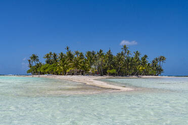 Palm fringed motu in the Blue Lagoon, Rangiroa atoll, Tuamotus, French Polynesia, South Pacific, Pacific - RHPLF24743