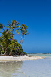 Palm fringed motu in the Blue Lagoon, Rangiroa atoll, Tuamotus, French Polynesia, South Pacific, Pacific - RHPLF24745