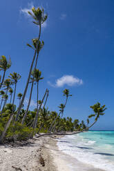White sand PK-9 beach, Fakarava, Tuamotu archipelago, French Polynesia, South Pacific, Pacific - RHPLF24762