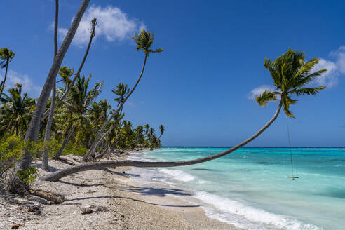 White sand PK-9 beach, Fakarava, Tuamotu archipelago, French Polynesia, South Pacific, Pacific - RHPLF24763