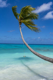 White sand PK-9 beach, Fakarava, Tuamotu archipelago, French Polynesia, South Pacific, Pacific - RHPLF24764