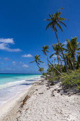 White sand PK-9 beach, Fakarava, Tuamotu archipelago, French Polynesia, South Pacific, Pacific - RHPLF24765