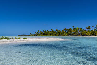 Blue lagoon, Fakarava, Tuamotu archipelago, French Polynesia, South Pacific, Pacific - RHPLF24770