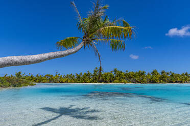 Blue lagoon, Fakarava, Tuamotu archipelago, French Polynesia, South Pacific, Pacific - RHPLF24771