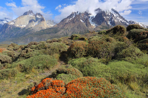 Torres del Paine National Park, Patagonia, Chile, South America - RHPLF24772